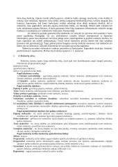 Mokesčių teisė - konspektas 4 puslapis