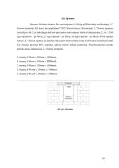 Statybos projekto aiškinamasis raštas 13 puslapis