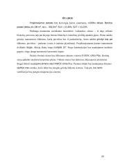 Statybos projekto aiškinamasis raštas 19 puslapis