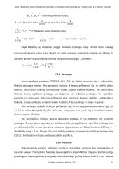 Statybos bakalauro aiškinamasis raštas 13 puslapis