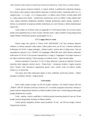 Statybos bakalauro aiškinamasis raštas 15 puslapis