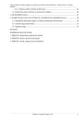 Statybos bakalauro aiškinamasis raštas 2 puslapis