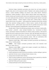 Statybos bakalauro aiškinamasis raštas 5 puslapis