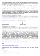 Mokesčių teisės konspektas 12 puslapis