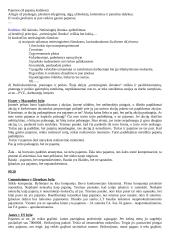 Mokesčių teisės konspektas 16 puslapis