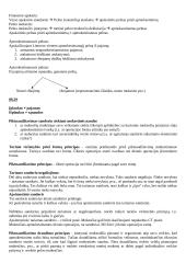 Mokesčių teisės konspektas 20 puslapis