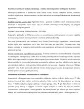 Tinkamų darbo vietų jaunimui sukūrimo politika 2 puslapis