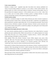 Tinkamų darbo vietų jaunimui sukūrimo politika 4 puslapis