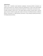 Tinkamų darbo vietų jaunimui sukūrimo politika 5 puslapis