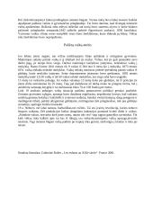 Vaikų padėtis XIX amžiaus Prancūzijoje 6 puslapis