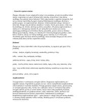 Vegetarizmas ir mityba 2 puslapis