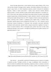 Dziudo sportininkų mitybos ir kūno kompozicijos rodiklių sąsajų pokyčiai priešvaržybinio ciklo metu  17 puslapis
