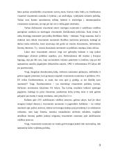 Viešosios nuomonės ir pavienių asmenų įtaka tarptautiniams santykiams 3 puslapis