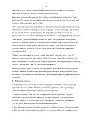 Personalo adaptacija įmonėje: „Scania Lietuva“ atvejis 3 puslapis