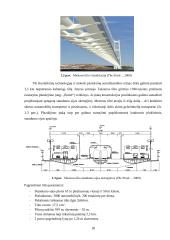 Erdvinio kombinuotojo iš anksto įtempto pėsčiųjų tilto elgsenos analizė ir skaičiavimas 14 puslapis