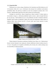 Erdvinio kombinuotojo iš anksto įtempto pėsčiųjų tilto elgsenos analizė ir skaičiavimas 19 puslapis