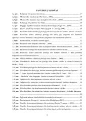 Erdvinio kombinuotojo iš anksto įtempto pėsčiųjų tilto elgsenos analizė ir skaičiavimas 5 puslapis