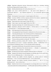 Erdvinio kombinuotojo iš anksto įtempto pėsčiųjų tilto elgsenos analizė ir skaičiavimas 6 puslapis