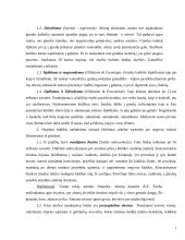 Abortų problema Lietuvoje 3 puslapis