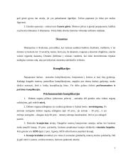 Abortų problema Lietuvoje 4 puslapis