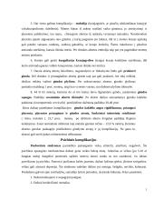 Abortų problema Lietuvoje 5 puslapis