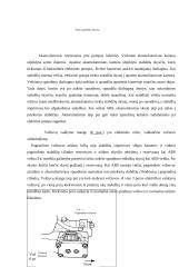 ABS automobilyje. ABS veikimo principas 6 puslapis