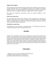 Adobe Flex dokumentacija 15 puslapis