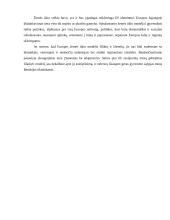 Agrarinė Europos Sąjungos politika 2 puslapis