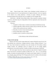 Airijos politinė kultūra ir politinė raida 2 puslapis