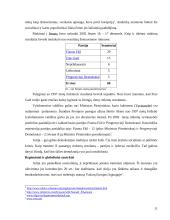 Airijos politinė kultūra ir politinė raida 11 puslapis