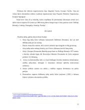 Airijos politinė kultūra ir politinė raida 12 puslapis