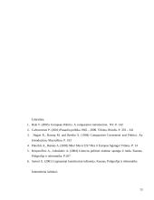 Airijos politinė kultūra ir politinė raida 13 puslapis