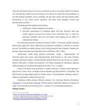 Airijos politinė kultūra ir politinė raida 5 puslapis