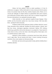 Airijos ekonominė analizė 2 puslapis