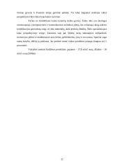 Airijos ekonominė analizė 12 puslapis