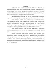 Airijos ekonominė analizė 13 puslapis