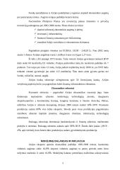 Airijos ekonominė analizė 5 puslapis