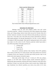 Airijos ekonominė analizė 7 puslapis