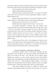 Airijos ekonominė analizė 10 puslapis