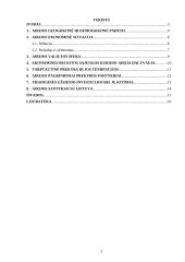 Airijos ekonominės padėties analizė