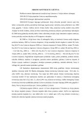 Airijos ekonominės padėties analizė 13 puslapis