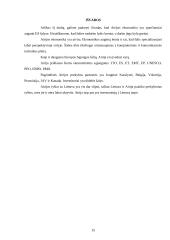 Airijos ekonominės padėties analizė 14 puslapis