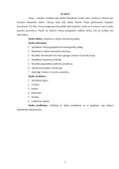 Airijos ekonominės padėties analizė 2 puslapis