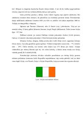 Airijos ekonominės padėties analizė 4 puslapis