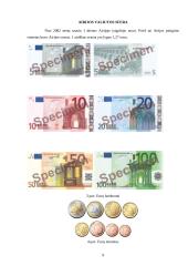 Airijos ekonominės padėties analizė 8 puslapis