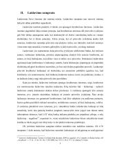 Laidavimas ir jo taikymas Lietuvos teismų praktikoje  8 puslapis