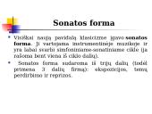 Klasicizmo instrumentinė muzika ir sonatinis-simfoninis ciklas 11 puslapis