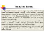 Klasicizmo instrumentinė muzika ir sonatinis-simfoninis ciklas 12 puslapis