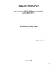 Akcinės bendrovės veiklos principai 12 puslapis