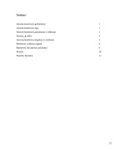 Akcinės bendrovės veiklos principai 13 puslapis